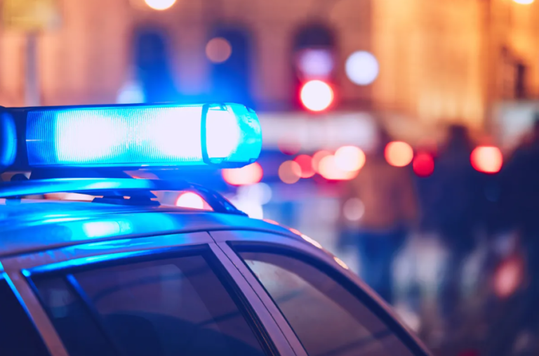 POLICE RESPONSE TO THE MENTALLY ILL