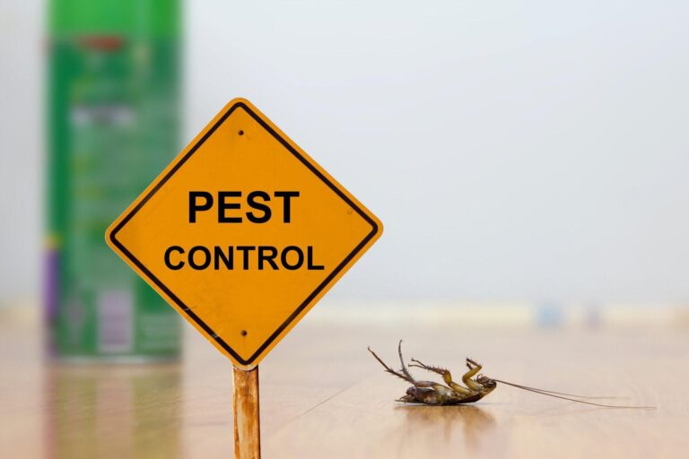 Eco-Friendly Pest Control Practices for Safe Communities