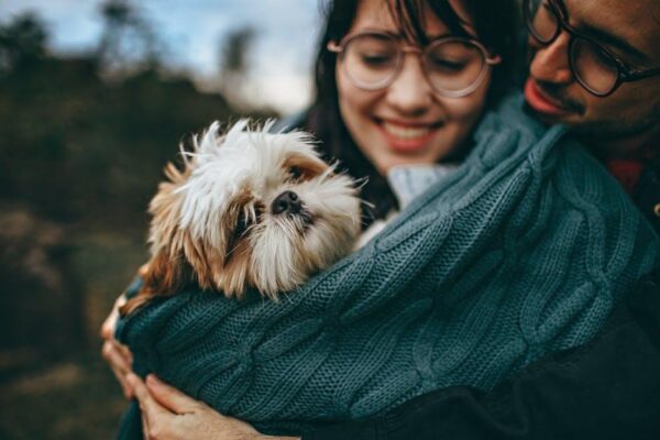 How Trained Personnel Enhance Pet Safety During Air Travel