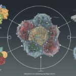 Betametacron: Understanding Its Concept, Meaning, and Applications