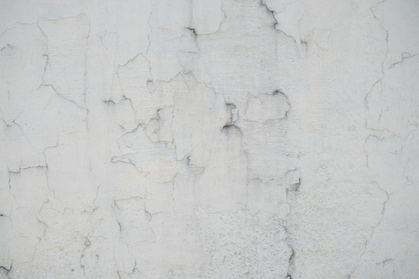 Speed Up Your Plastering: The Secret to Faster Drying Times