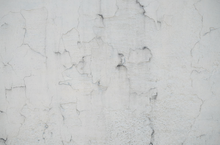 Speed Up Your Plastering: The Secret to Faster Drying Times