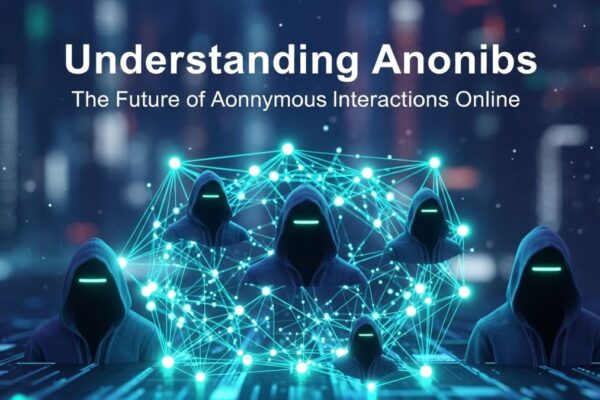 Understanding anonibs: The Future of Anonymous Interactions Online